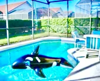 Ref 87. Stunning Villa own pool. Tuscan Hills near Disney